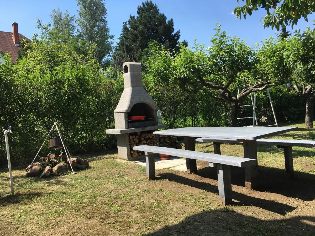 Nefelejcs Apartman Balatonvilágos Esterno foto